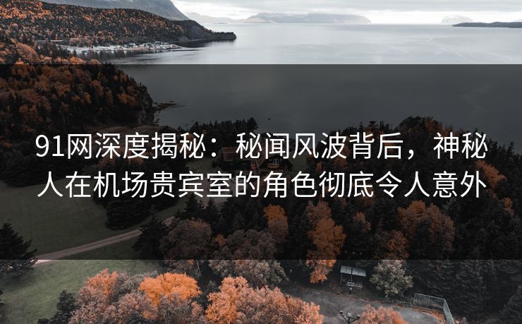 91网深度揭秘:秘闻风波背后,神秘人在机场贵宾室的角色彻底令人意外 91网深度揭秘:秘闻风波背后,神秘人在机场贵宾室的角色彻底令人意外