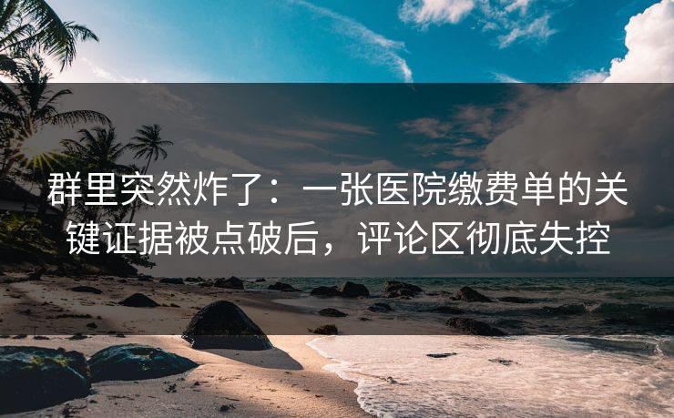 群里突然炸了：一张医院缴费单的关键证据被点破后，评论区彻底失控